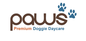 paws Premium Doggie Daycare