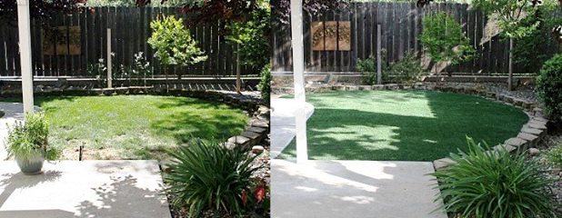 before and after with pupgrass