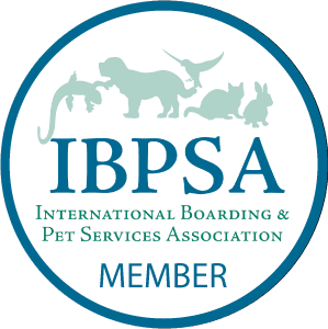 IBPSA Member