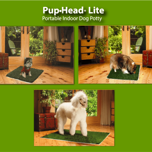 Portable dog Potty ?Featuring -Pup-Grass