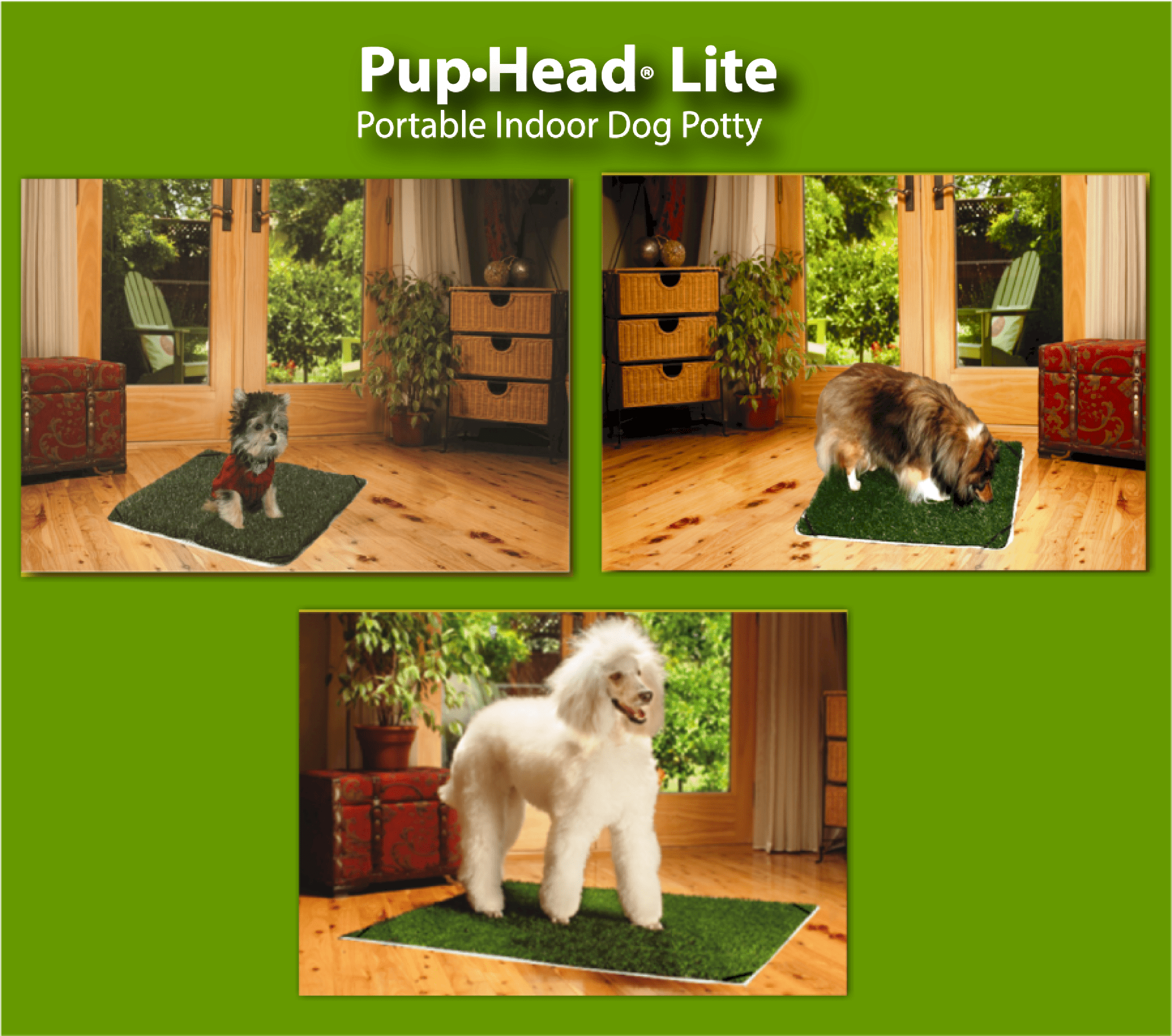 Portable dog Potty ?Featuring -Pup-Grass